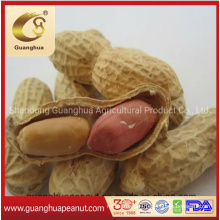 Factory Direct Roasted Peanut in Shell 11/13